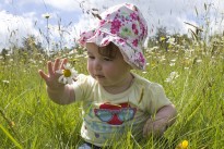 baby-444972_640