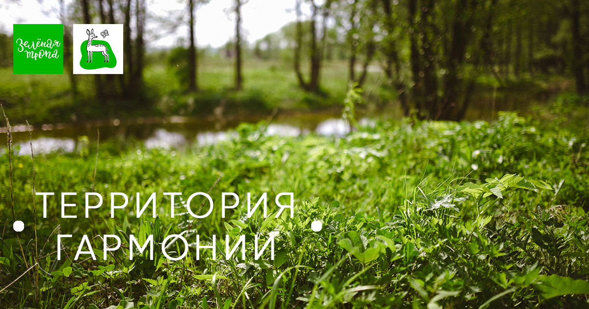 территория гармонии