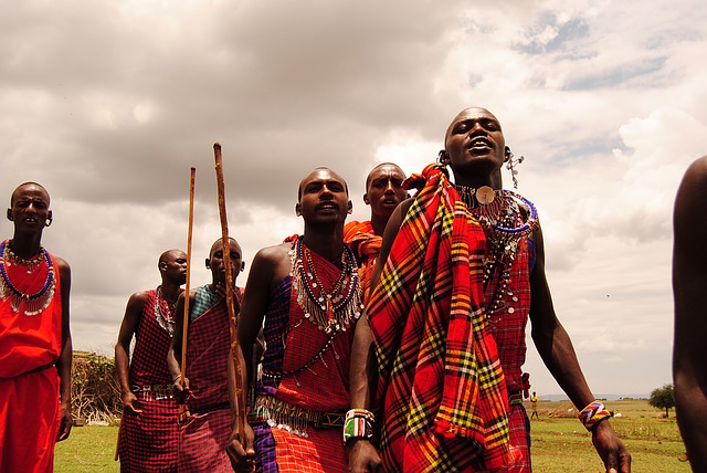 masai-mara-1460015_640