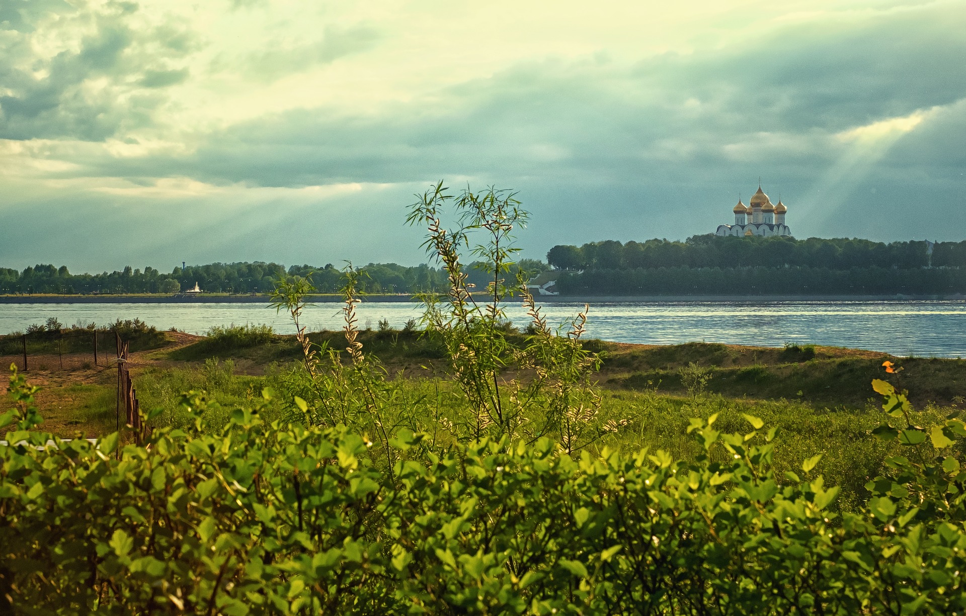 nature-ge35f852e5_1920
